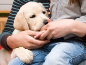 Empathie zum Beziehungsaufbau