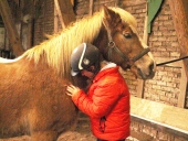 Verantwortungsvollen Umgang